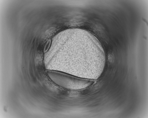 X0000101651300200807311404