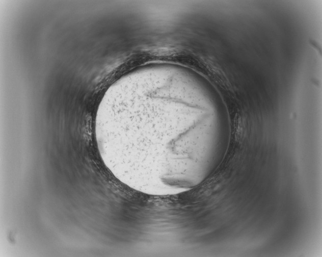X0000101651301200807311404