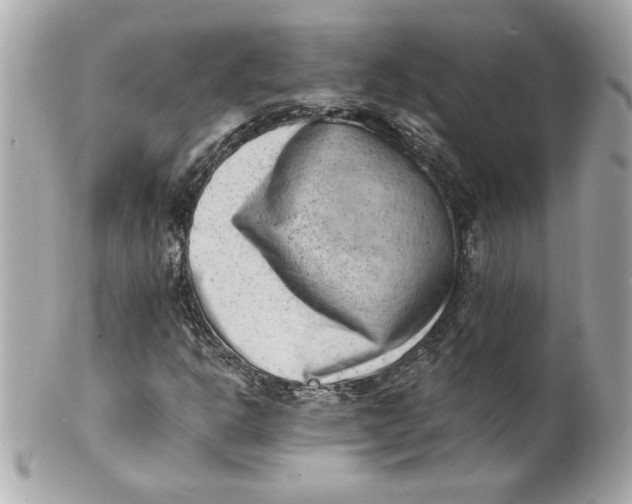 X0000101651302200807311404