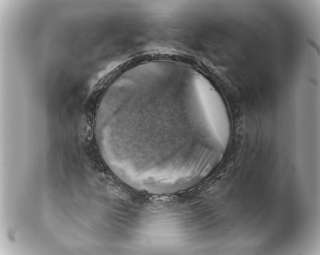 X0000101651303200807311404