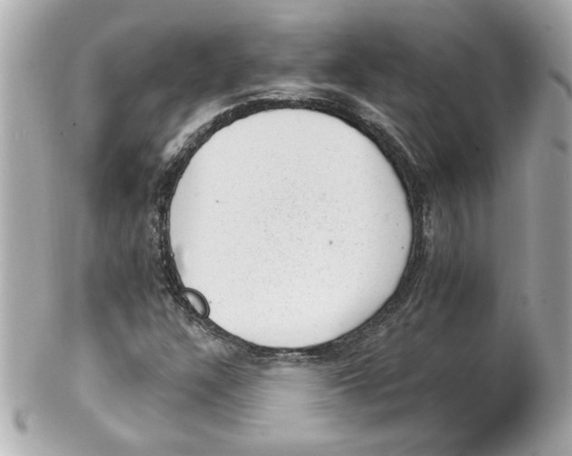 X0000101651304200807311404