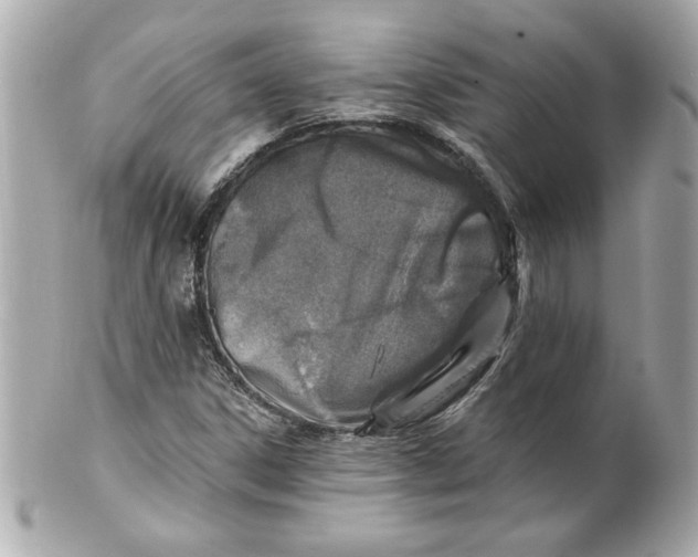 X0000101651306200807311404