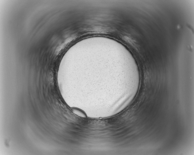 X0000101651307200807311404