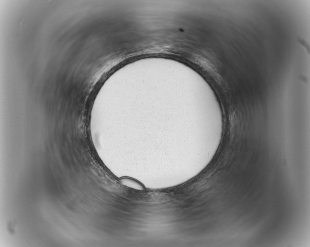 X0000101651308200807311404