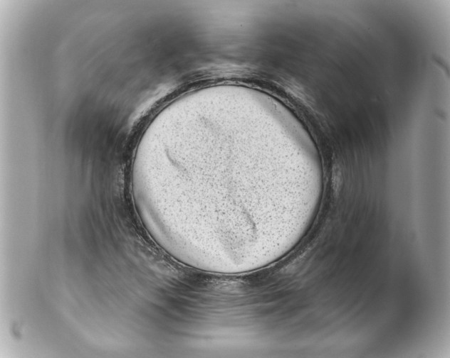 X0000101651309200807311404