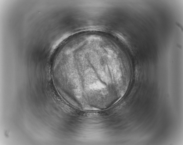 X0000101651310200807311404