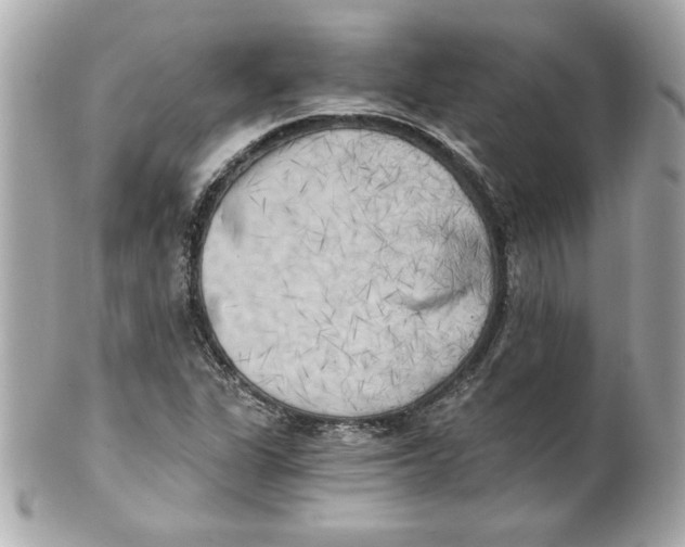 X0000101651311200807311404
