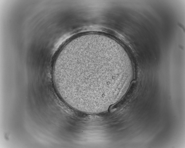 X0000101651312200807311404