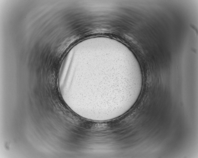 X0000101651313200807311404