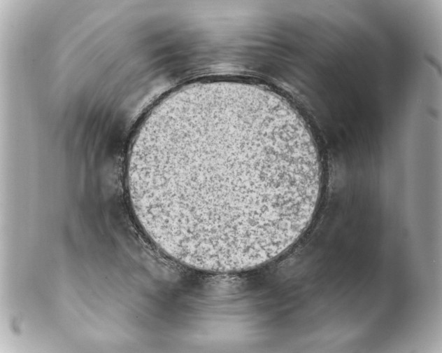 X0000101651314200807311404