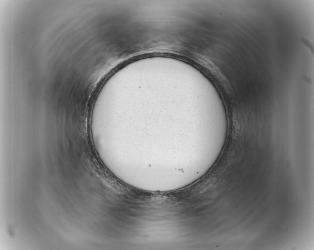 X0000101651316200807311404