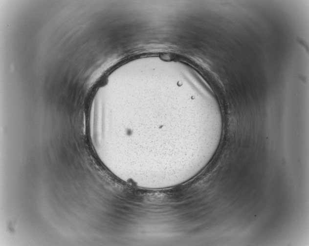 X0000101651317200807311404