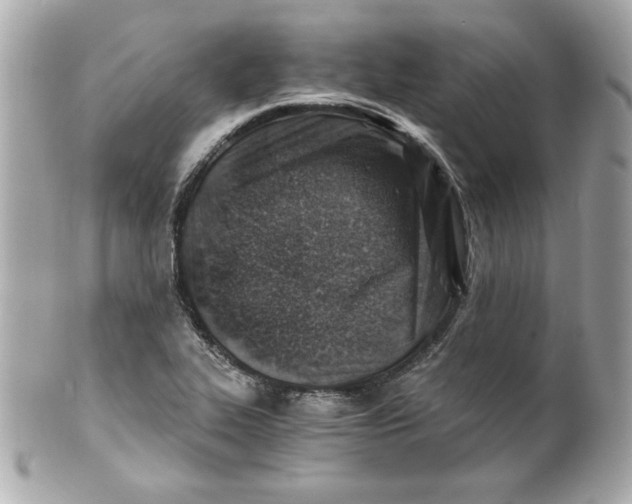 X0000101651319200807311404