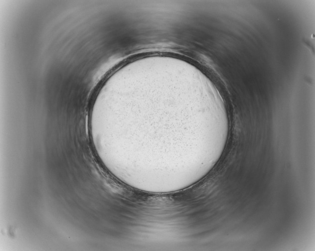 X0000101651320200807311404