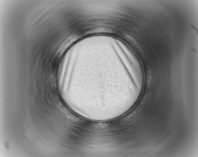 X0000101651321200807311405