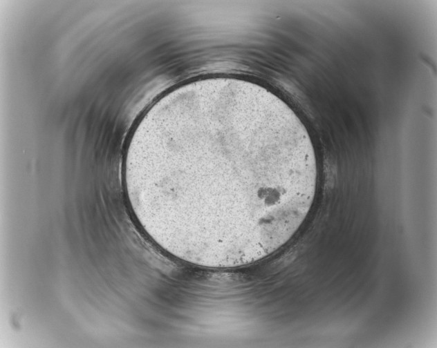 X0000101651322200807311405