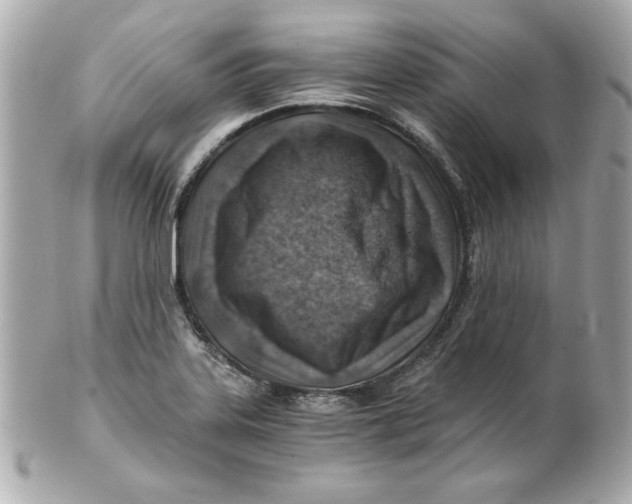 X0000101651323200807311405