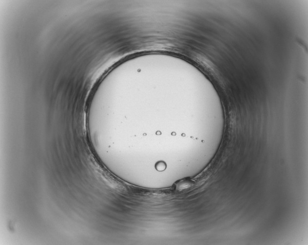 X0000101651324200807311405