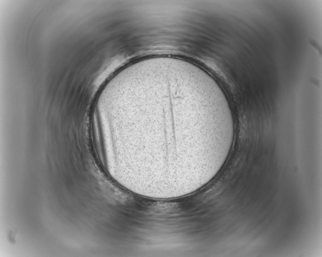 X0000101651325200807311405