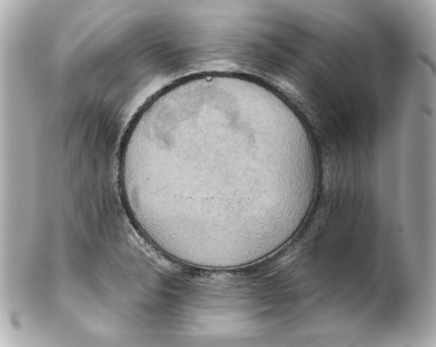 X0000101651326200807311405