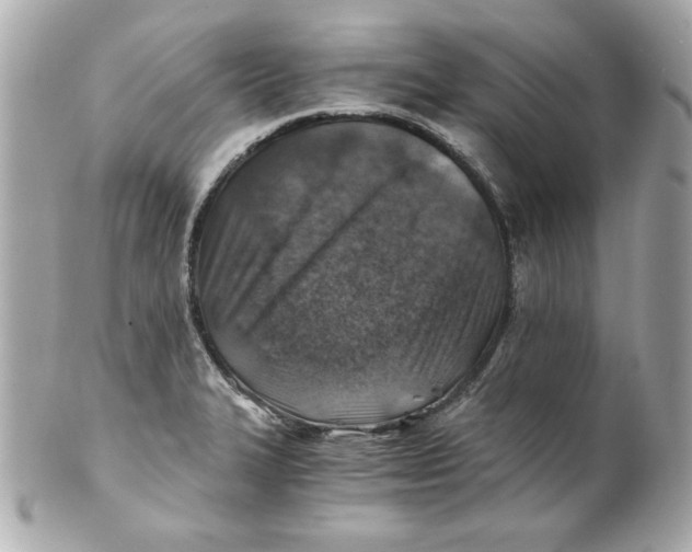 X0000101651327200807311405