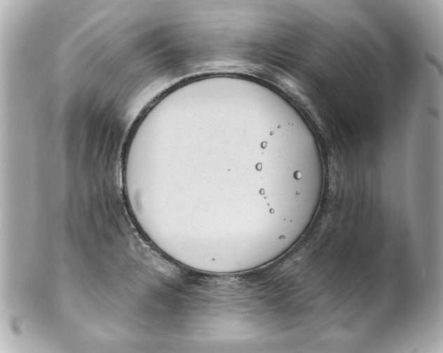 X0000101651328200807311405