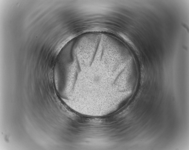 X0000101651329200807311405