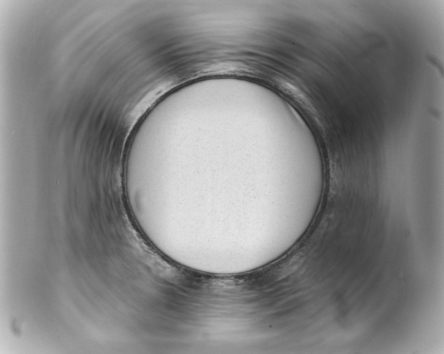 X0000101651330200807311405