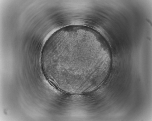 X0000101651331200807311405