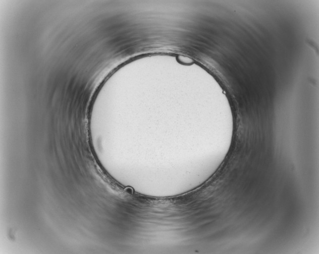 X0000101651332200807311405