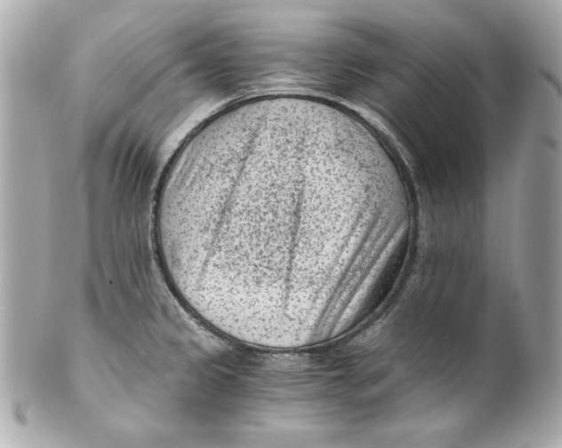 X0000101651333200807311405