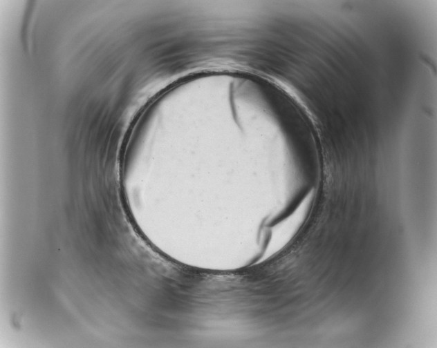 X0000101651335200807311405