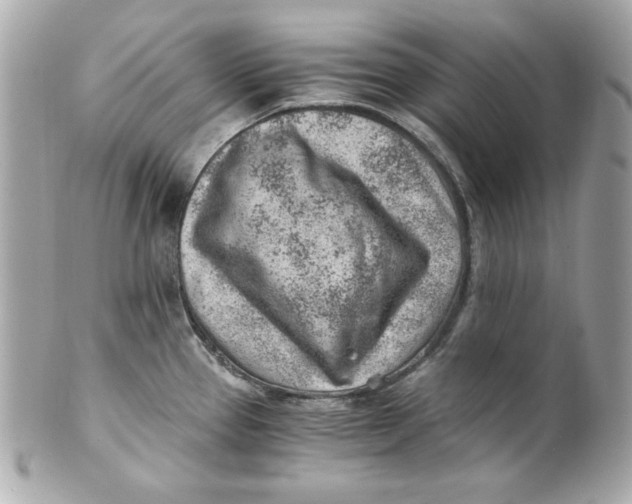 X0000101651337200807311405