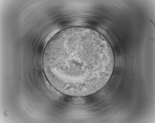 X0000101651338200807311405