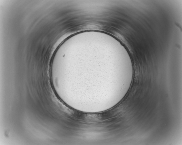 X0000101651339200807311405