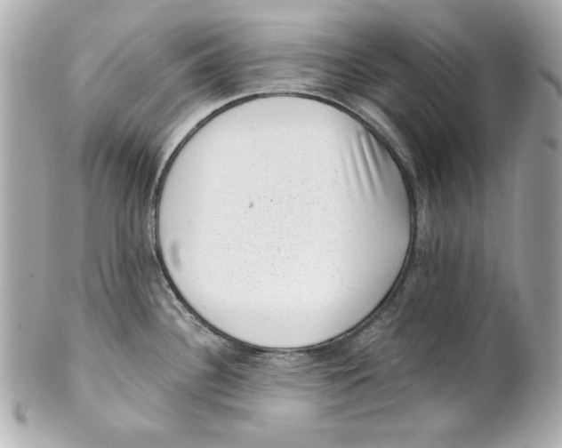 X0000101651340200807311405