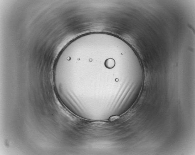 X0000101651342200807311405
