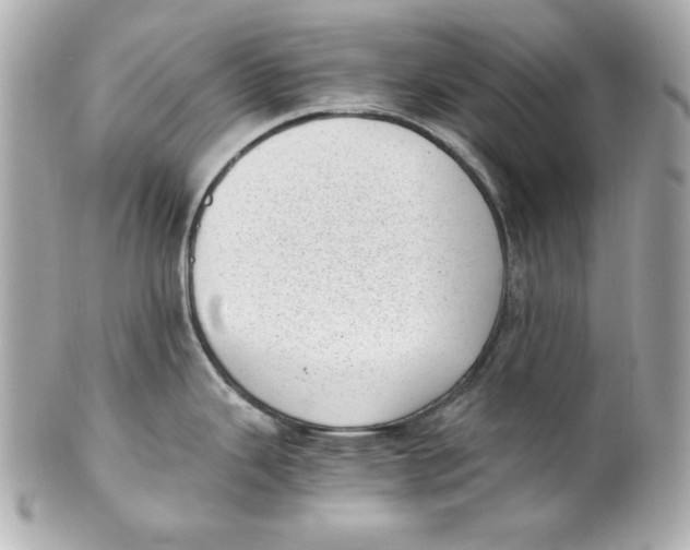 X0000101651343200807311405