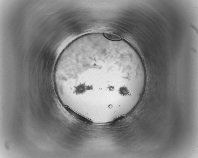 X0000101651344200807311405