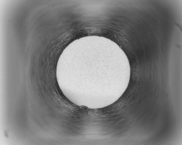 X0000101651345200807311404
