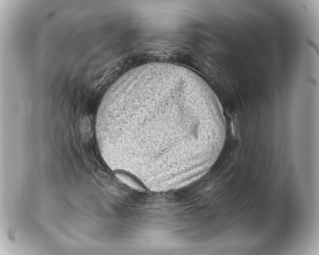 X0000101651347200807311404
