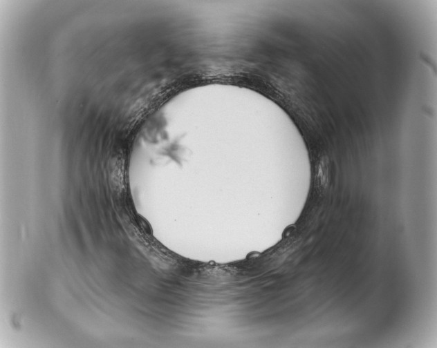 X0000101651348200807311404