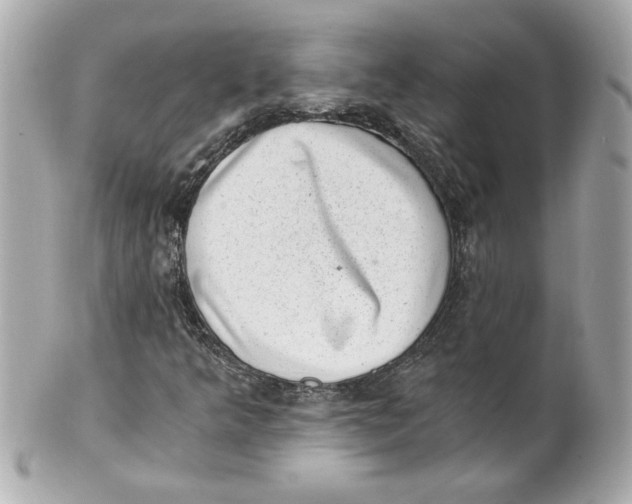 X0000101651349200807311404