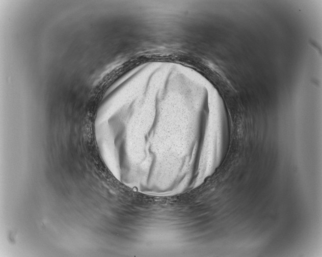 X0000101651350200807311404