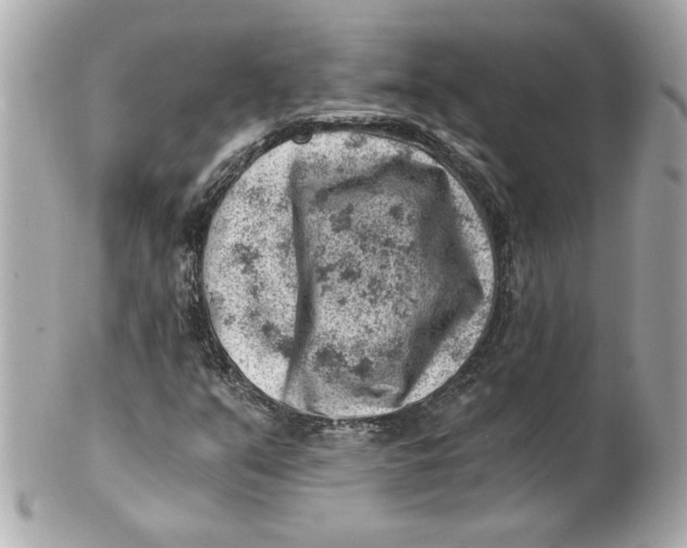 X0000101651351200807311404