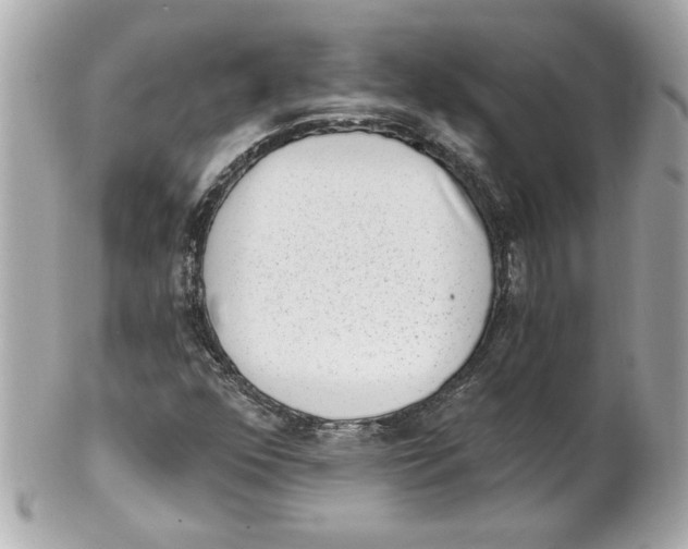 X0000101651352200807311404