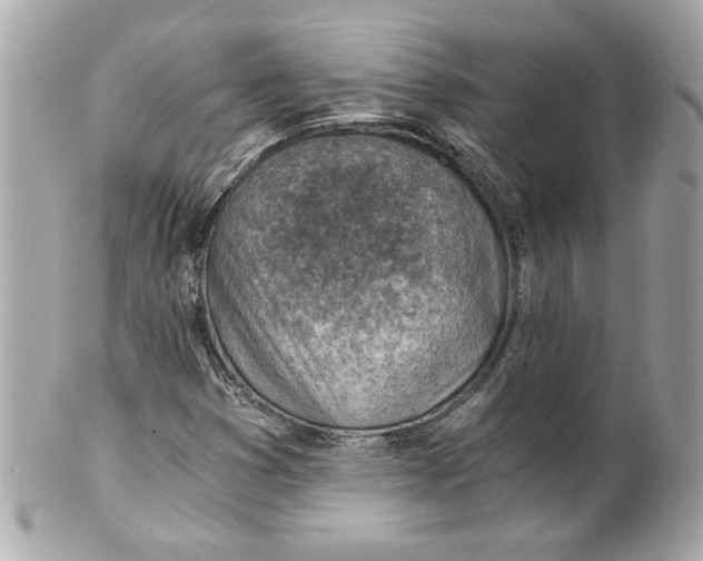 X0000101651353200807311404