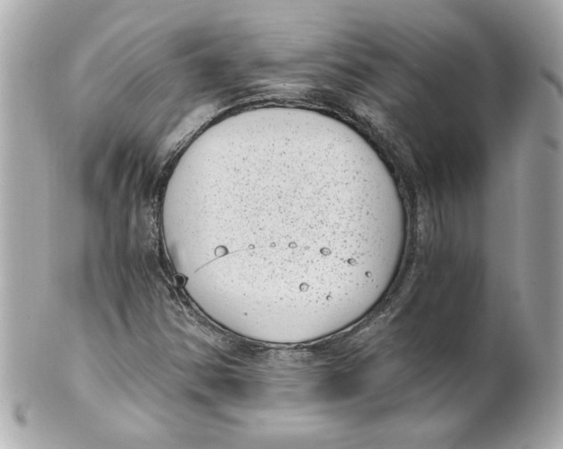 X0000101651354200807311404