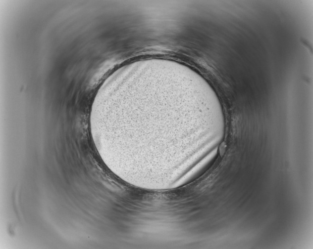 X0000101651355200807311404