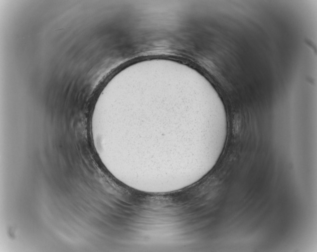 X0000101651356200807311404